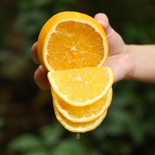 带叶鲜摘，完美酸甜比！【赣南脐橙】核心产区 柔嫩化渣  顺丰/京东发货 商品图6