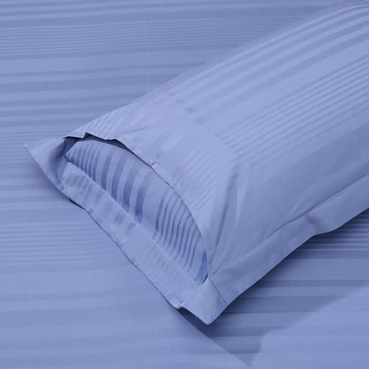 富安娜（FUANNA）床上用品磨毛被套素提床单四件套-博兰格/蓝 商品图2