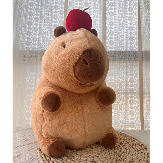 怪咖潮玩22cm坐姿水豚小号毛绒玩具154859344 商品图1