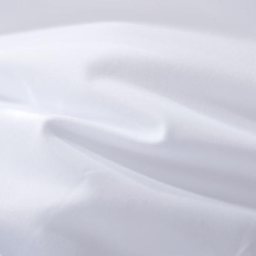 富安娜（FUANNA）床品秋冬被子保暖被芯磨毛防绒面料舒弹丝羽 丝绒被203*229cm 商品图4