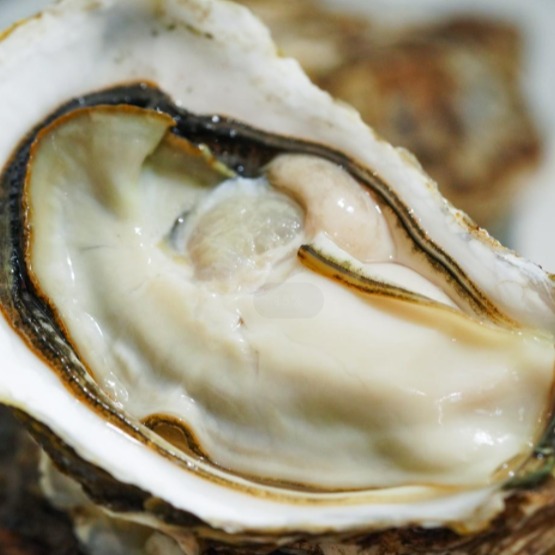 【斌哥优选】乳山生蚝，刺身级鲜活生蚝，深海自然生长 现捕现发 鲜甜回甘