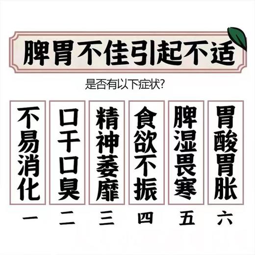 四神粉 四神粉山药茯苓粉无需炖煮冲泡即食排走湿气调理脾胃 商品图5
