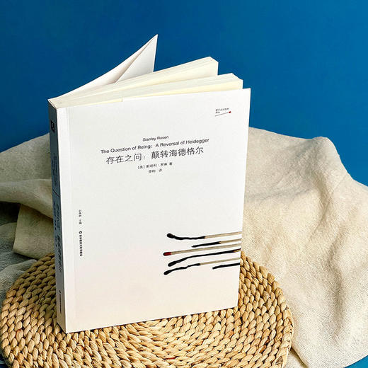 存在之问 颠转海德格尔 虚无主义批判译丛 斯坦利·罗森 哲学 商品图1