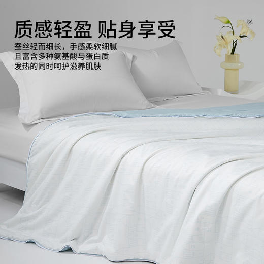 佳丽斯蚕丝羽绒二合一子母被95白鹅绒被子冬被蚕丝被拉链款 商品图5