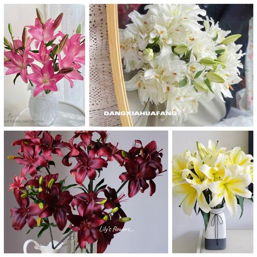【不仅是品种多.更是量大】小粉仙亚百合10朵（深色）+滑雪板重瓣百合8-10朵+黄金甲香水百合8-10朵+小黑石亚百合8-10朵/份 商品图0