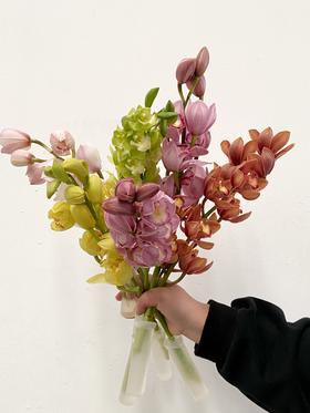 顺丰空运包邮 | 大花蕙兰混色【瑕疵 折痕 不售后，介意者慎拍】