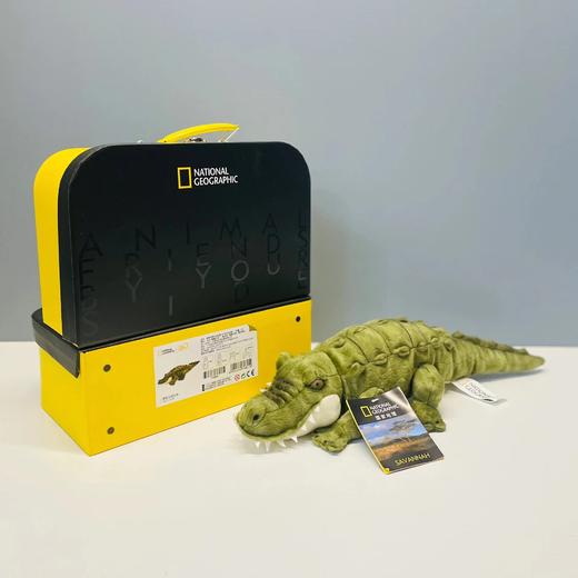 国家地理毛绒玩具熊猫狮子闺蜜情人节吉祥生日礼物毕业季纪念 商品图3