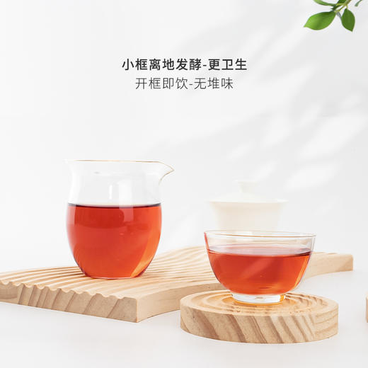 【冬日茶饮】无农药云南普洱熟茶经典款357g饼茶2023年份 商品图2