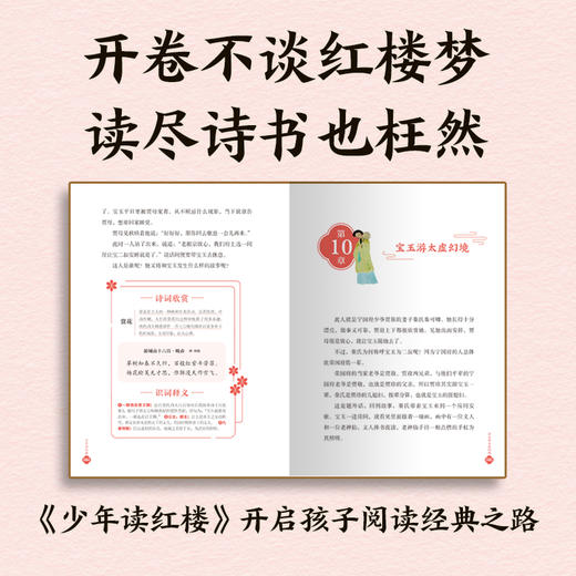 少年读红楼（全4册） 商品图4