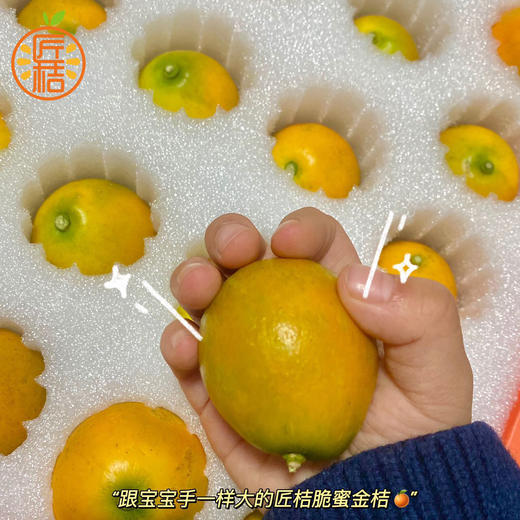 融安匠桔 脆蜜金柑 桔中精品 商品图4