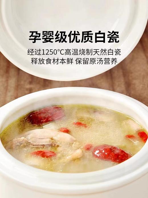 9楼母婴生活馆 小白熊微电脑隔水电炖盅0.8L 吊牌价：259元 活动价：179元 商品图1