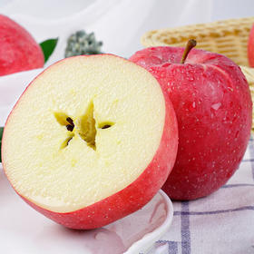 陕西静宁苹果（12枚/24枚）