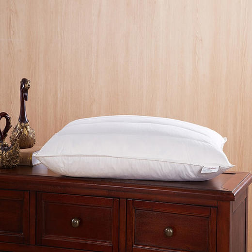 恒源祥礼业1JJ1212单人双人枕芯纤维枕 羽毛荞麦枕头 48*74CM 商品图6
