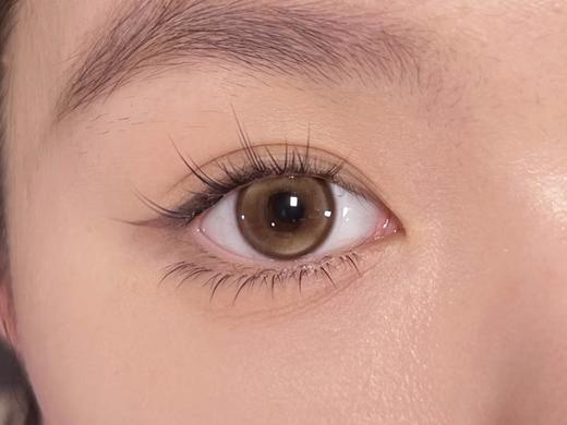 Wecute半年抛 | 泰式奶蓝&蜂窝奶茶 14.2mm白狮参考着色中等直径 | 半年抛 商品图10