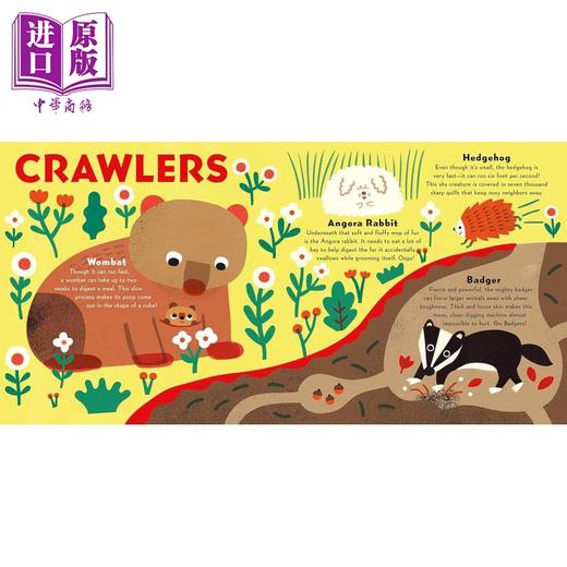 【中商原版】Susan Patterson：Cuddly Critters for Little Geniuses动物小天才英文原版进口图书儿童绘本故事图画书 商品图4