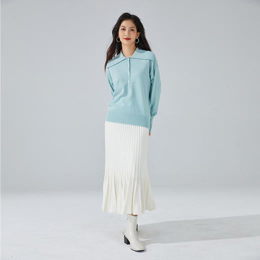 东黎 • 小山羊绒 女士秋冬大翻领简约纯色休闲羊绒衫  3414 商品图6