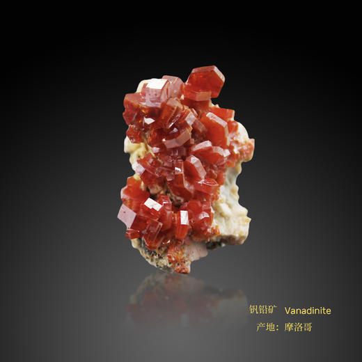 祖母绿 / 钒铅矿 / 磷氯铅矿 商品图1