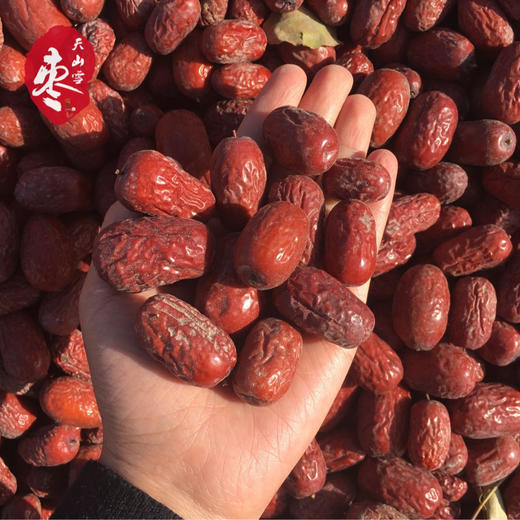 【软糯香甜】探疆人·天山雪枣 新疆树上风干枣若羌甜灰枣 商品图4