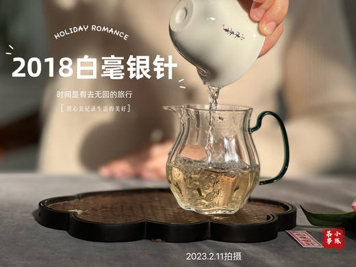 【会员高货专供】6年陈老银针饼2018白毫银针饼，毫香沉郁的影子暗卫！ 商品图4