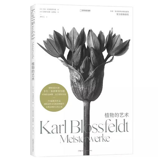 植物的艺术 植物摄影艺术画册 卡尔·布洛斯菲尔德画册 科普百科书籍 商品图0
