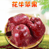 【甘甜爽口！天水花牛苹果】鲜香多汁，水嫩多汁、醇香可口。 新鲜应季水果粉面红马果苹果礼盒伴手礼 商品缩略图0