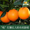 江西赣南有机脐橙 皮薄多汁江西甜橙6斤/10斤/20斤装 商品缩略图3