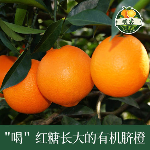 江西赣南有机脐橙 皮薄多汁江西甜橙6斤/10斤/20斤装 商品图3