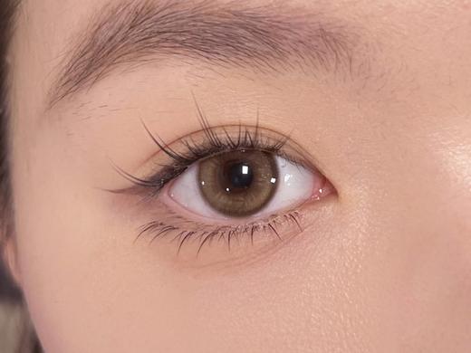 Wecute半年抛 |啤梨酪酪&开心茉莉 14.0mm白狮参考着色中等直径 | 半年抛 商品图9