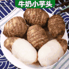 【软糯鲜美 现货速发！新鲜小芋头】鲜芋外观，香软可口。毛芋头小巧玲珑，山东奶油芋头 新鲜蔬菜当季毛芋头 软糯牛奶小芋头 商品缩略图0