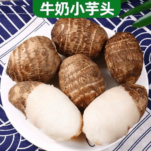 【软糯鲜美 现货速发！新鲜小芋头】鲜芋外观，香软可口。毛芋头小巧玲珑，山东奶油芋头 新鲜蔬菜当季毛芋头 软糯牛奶小芋头 商品图0