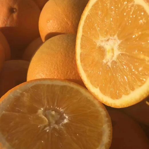 【现摘现发】正宗江西赣南脐橙 九省包邮 商品图4