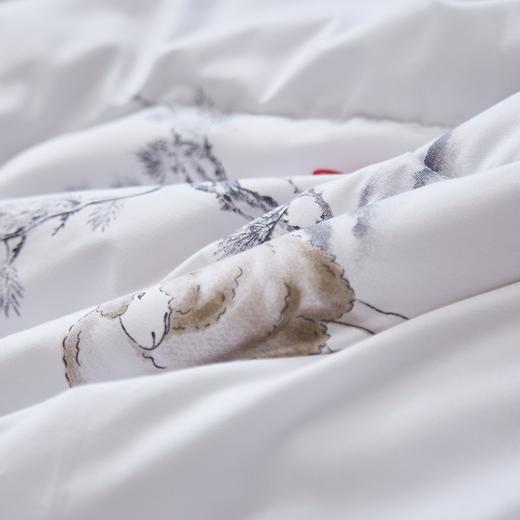 恒源祥（HYX） 恒源祥礼业TGB1028翔逸羊毛被 翔逸 200*230 商品图3