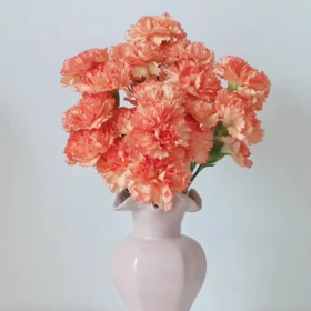 单头康乃馨 狂欢  橙色  20支/扎   颜色深浅略有差异 以实物为准 云南基地发货 （价格已包含包装费用） 运费以实际为准，多退少补。