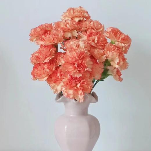 单头康乃馨 狂欢  橙色  20支/扎   颜色深浅略有差异 以实物为准 云南基地发货 （价格已包含包装费用） 运费以实际为准，多退少补。 商品图0