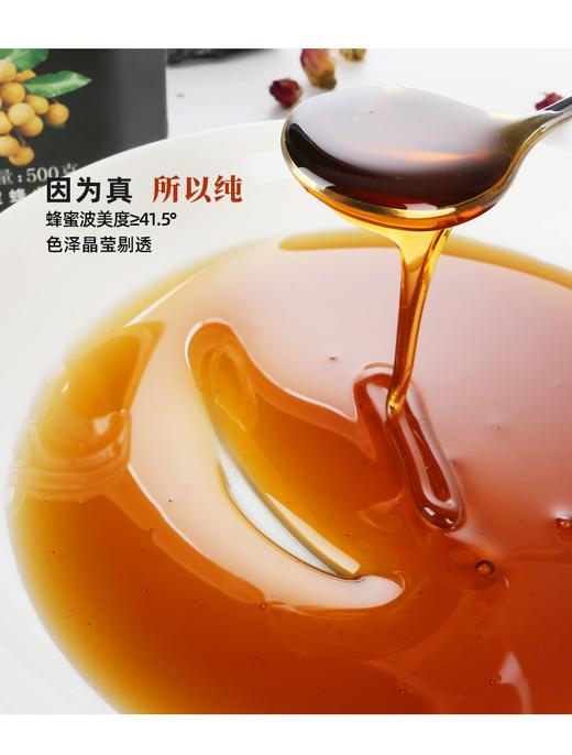 春中宝龙眼蜜蜂蜜 500g瓶装 商品图5