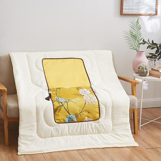 恒源祥（HYX） 恒源祥礼业TDK1003-1富贵荣华锦缎靠垫被 富贵荣华 40*40 商品图2