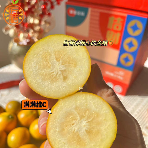 融安匠桔 脆蜜金柑 桔中精品 商品图5