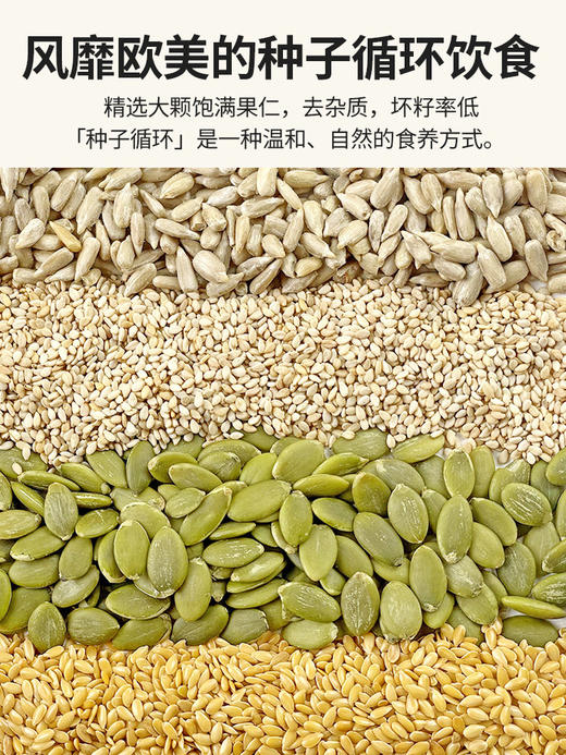 人民食品 种子循环法南瓜籽亚麻籽葵瓜子芝麻种子打果蔬打豆浆烘焙原料 商品图2