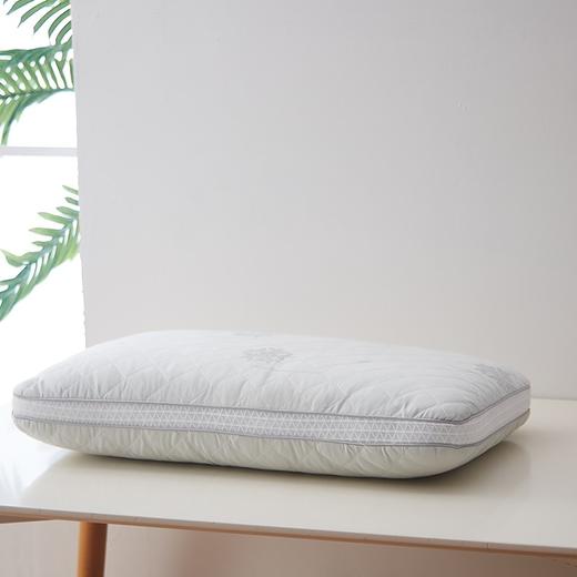 恒源祥（HYX） 恒源祥礼业TZT1023（纤维枕） 玻尿酸枕头 45*70 商品图8