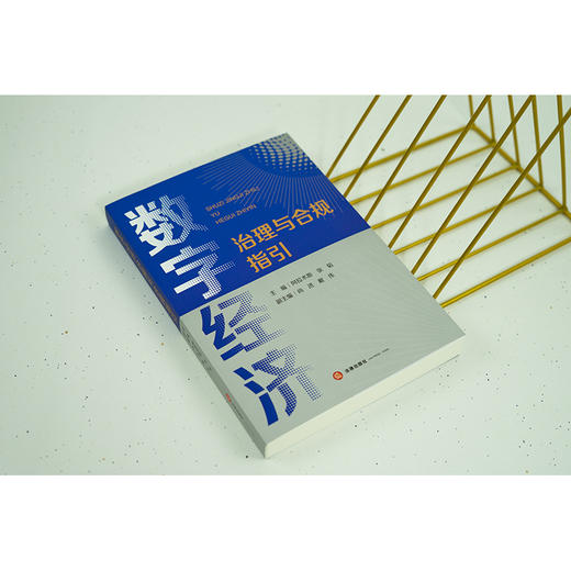 数字经济治理与合规指引  阿拉木斯 张韬主编 尚进 戴伟副主编 商品图2