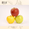 【活动】云相思新疆三色苹果  冰糖心苹果+王林苹果+瑞雪苹果 商品缩略图4