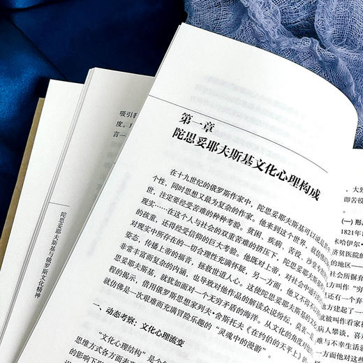 陀思妥耶夫斯基与俄罗斯文化精神 中外语言文学学术文库 何云波 文学研究 商品图8