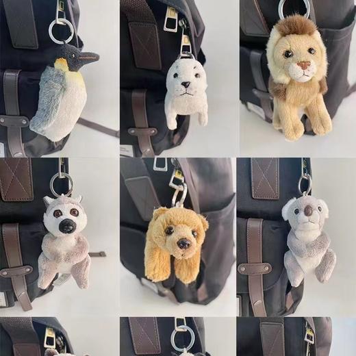 国家地理毛绒玩具挂件可爱钥匙扣老虎鹦鹉企鹅海豹浣熊花栗鼠熊猫 商品图3