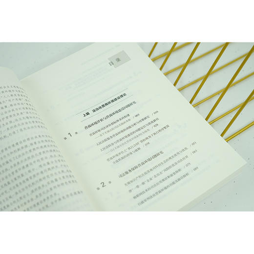 法治化营商环境建设的理论与实践  钱斌主编 商品图6