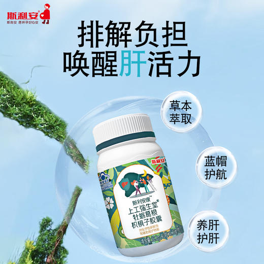 （养肝护肝）斯利安康上工强生堂牡蛎葛根枳椇子胶囊40粒【FX】 商品图0