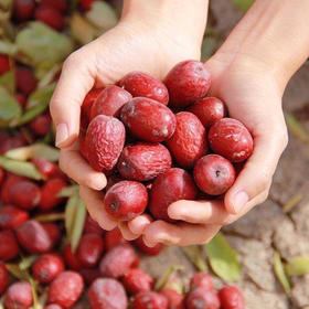 【软糯香甜】探疆人·天山雪枣 新疆树上风干枣若羌甜灰枣