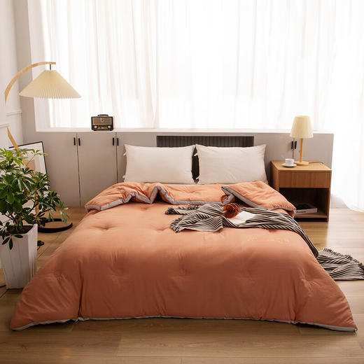 無印羊绒蛋白科技被MUJI-B22-66 双人被200*230cm 商品图0