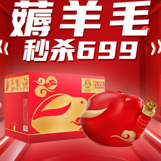 【清仓】泸州老窖 2023 兔年生肖酒 浓香型  52度 1.2L 商品图6