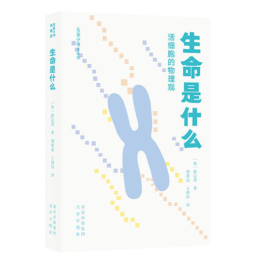 生命是什么 商品图0