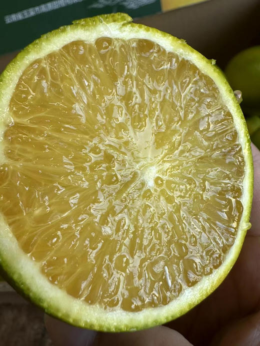 【高原王子橙】2号特级大果 淡淡橙香萦绕齿间 浓浓甜味儿回味悠长 商品图1